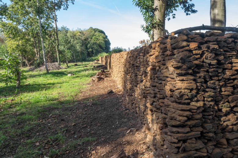wijgaardbergwandeling 