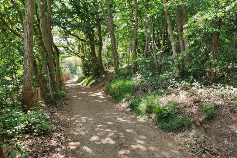 bosrijk domein achter meetingcentrum Eenheid